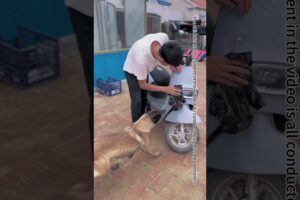 The Puppy Was Trapped, And The Emergency Rescue Dog Was Smart Enough To Rescue It#Shorts