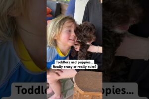 The best combo: Toddlers and puppies💙🐶 #toddlers #puppies #cutekids