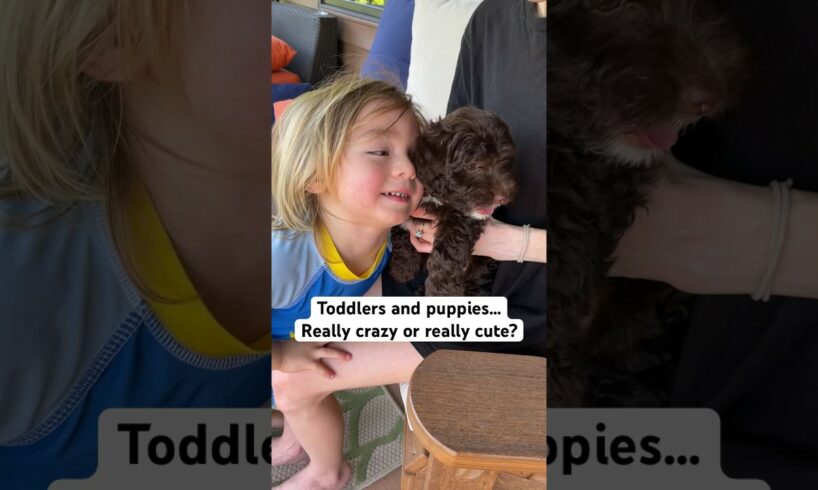 The best combo: Toddlers and puppies💙🐶 #toddlers #puppies #cutekids