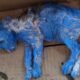 They Painted Her Blue For Fun Then Discarded Her Crying In The Middle Of The Rain...