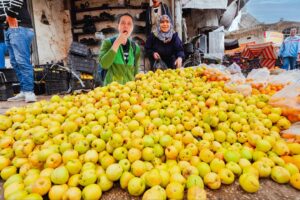 Unseen Syria!! 🇸🇾 SYRIAN FOOD Road Trip from Damascus to Aleppo! [UNBELIEVABLE]