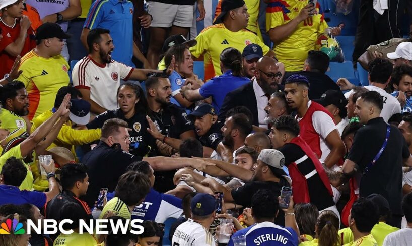 Video shows Uruguayan soccer stars brawl with Colombia fans at Copa America semifinal