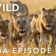 World's Deadliest MEGA EPISODE | Season 1 Full Episodes | Nat Geo Wild