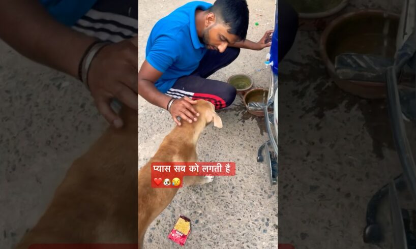 क्या हम नाले का पानी पी लेंगे😭| बताओ😥?😭😭|#dogs #pets #petlover #straydog