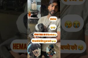 मेरे बच्चे के लिए दुआ करो 😭😭🙏plz इसके 3 बच्चे भी है 🐶😢|#rescuedog #emotional #pets