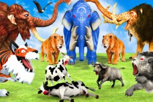 10 Mammoth Elephant Cow Gorilla vs 5 Giant Tiger Dinosaur Fight Baby Cow Saved By Woolly Mammoth