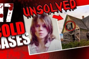 17 Cold Cases That Were Solved In 2024 | True Crime Documentary | Compilation