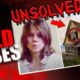 17 Cold Cases That Were Solved In 2024 | True Crime Documentary | Compilation