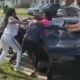 Hood Girl Street Fights