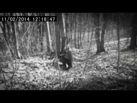 2 Hour Compilation of Creepiest Things Caught on Trail Cameras