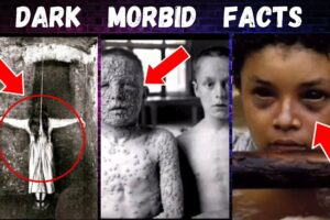 25 Morbid Facts You Won't Believe Are True | Creepy Tiktok compilation