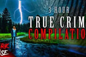 3 HOUR TRUE CRIME COMPILATION - 10 Disturbing Cases | True Crime Documentary #11