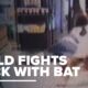 8 year old girl fights off armed robber at liquor store using baseball bat