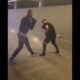 ANDREW TATE DROPS TIKTOK STAR ROBERT ALEXANDRU! 🥊