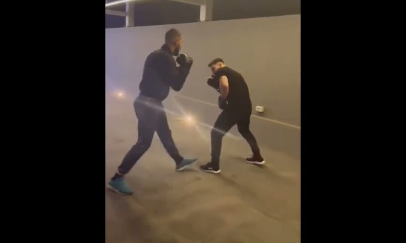 ANDREW TATE DROPS TIKTOK STAR ROBERT ALEXANDRU! 🥊