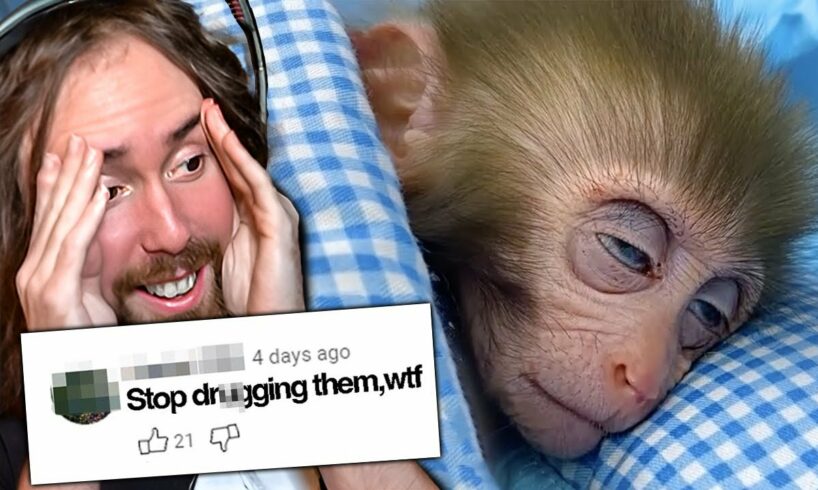 Animal Abuse Is Taking Over YouTube | Asmongold Reacts