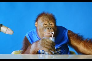 Animalia's Orangutan Freddie tries a few snacks ASMR