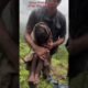 Babies Rescued #indianews #shortsviral #wayanadflood