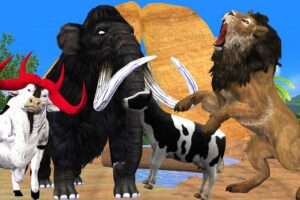 Black Mammoth vs Lion Fight Cow Cartoon Saved By Woolly Mammoth Elephant Wild Animal Cartoon Video