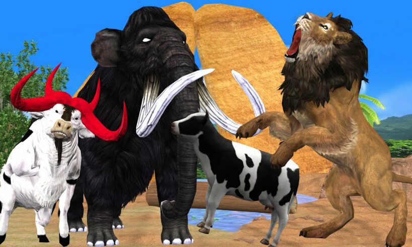 Black Mammoth vs Lion Fight Cow Cartoon Saved By Woolly Mammoth Elephant Wild Animal Cartoon Video