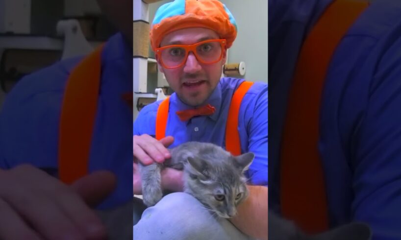 Blippi Pets a Cute Kitten at an Animal Shelter! | Blippi Toys | #blippi #shorts #animals