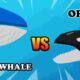 Blue Whale vs Orca | Underwater Fight Club [S1] | Animal Animation