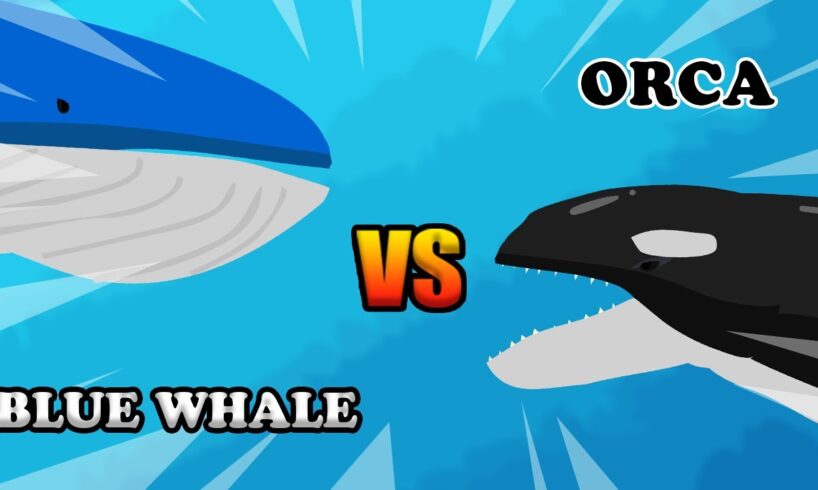 Blue Whale vs Orca | Underwater Fight Club [S1] | Animal Animation