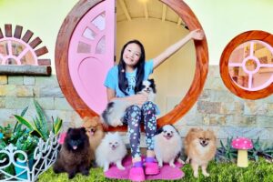 Bug builds a Dome House for puppies ! 🐶