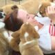 CORGI ATTACK: Girl Bombarded By Corgi Puppies | The Dodo