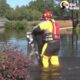 Cats And Dogs Rescued From Hurricane Floods