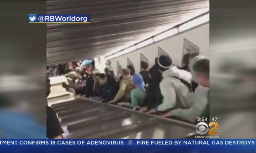 Caught On Camera: Rome Escalator Accident