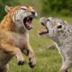 Craziest Animal Fights Of ALL TIME