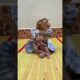 Cute Monkey Marry Carry Bro Tong Walk Play Outdoor