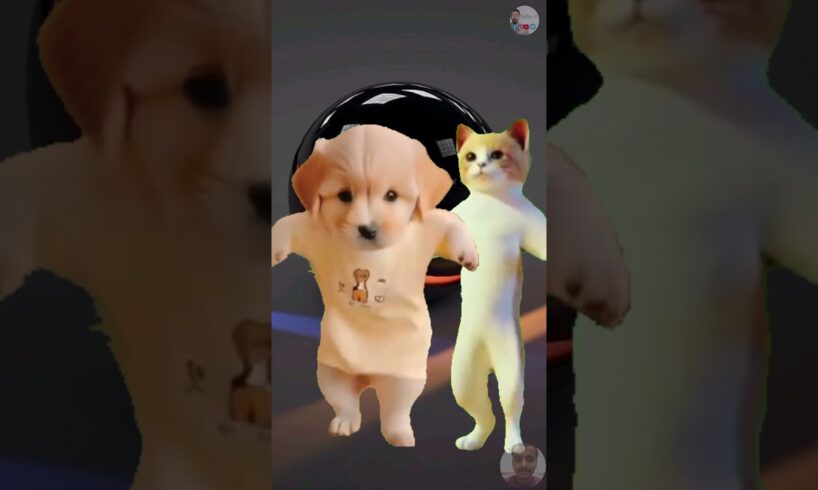 Cute puppies and Cat dance 🥰