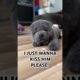 Cutest Puppy Alive! #animals #puppies #dogs #funnypets #adorable #funny #viralshorts