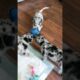 Cutest puppies play tug of war🥰🤣 #puppy #tugofwar #shorts #video #funny #cute #love #doglover