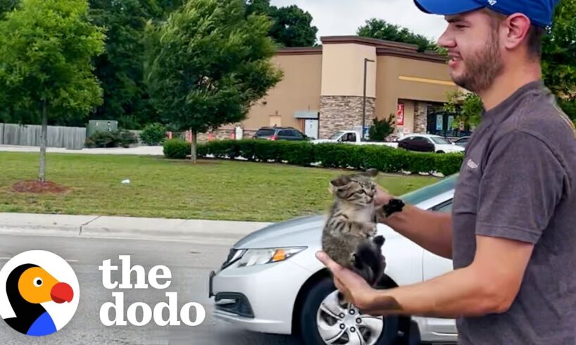 Dad Who Doesn't Like Cats Saves A Kitten At A Traffic Stop | The Dodo