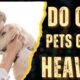 Do Our Pets Go to Heaven? One Boy's Incredible Near-Death Experience | NDE