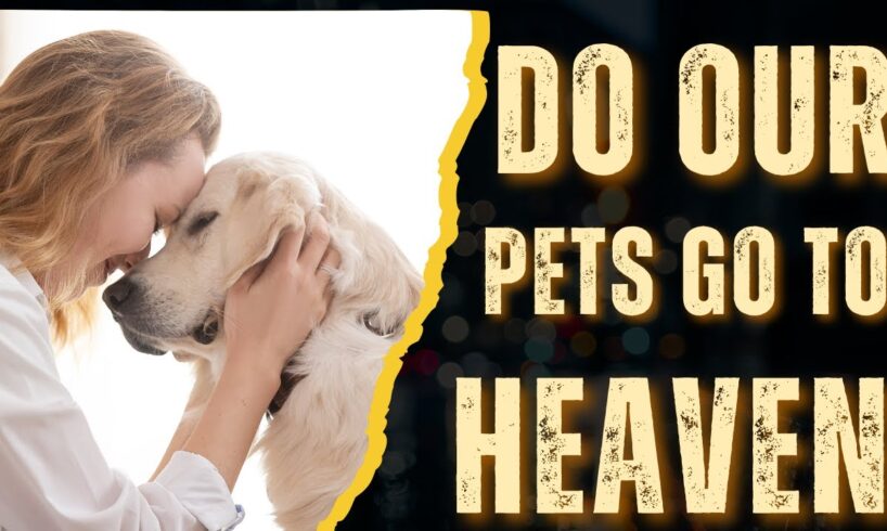 Do Our Pets Go to Heaven? One Boy's Incredible Near-Death Experience | NDE