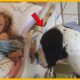 Dog Gives His All For Little Girl, So Family Decides To Return The Favor