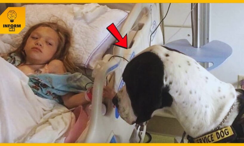 Dog Gives His All For Little Girl, So Family Decides To Return The Favor