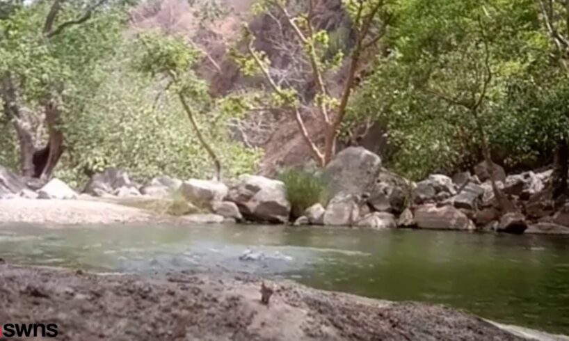 Friends filmed themselves in accidental drowning