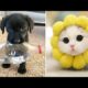 Funniest Animals 2024 😂 Best Funny Cats and Dogs 😻🐶 Part 30 | Cute Baby Dogs