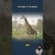 "Giraffe Fight To The Death : Epic Animal Attacks"