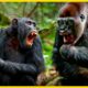 Gorillas MESS With The Wrong Opponents: 10 OUTRAGING Moments | Animal Fights