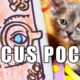 HOCUS POCUS (Cute Kitten Version)