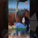 Horse Rescue Mission #animals #rescue #shortvideo #shorts