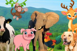 Learn about the characteristics of animals - Elephant, cow, dog, chicken, pig - Animal sounds