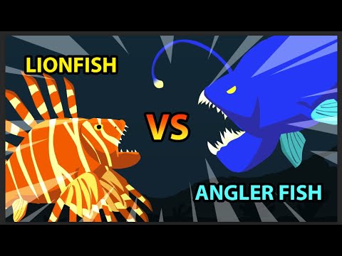 Lionfish vs Angler Fish | Underwater Fight Club [S1] | Animal Animation