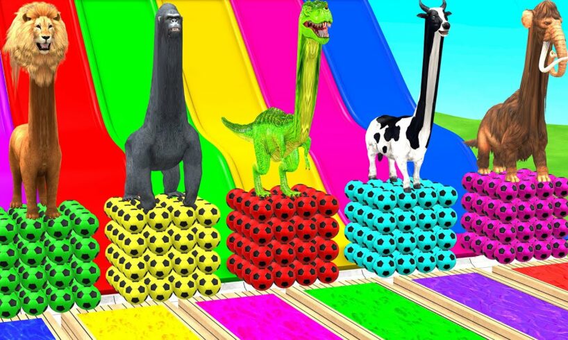 Long Slide Game With Mammoth Elephant Tiger Gorilla Lion T-Rex Buffalo - 3d Animal Long Neck Game